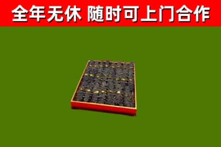 东西湖回收海参
